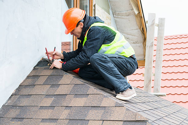 Best Roof Gutter Cleaning  in Fort Thomas, KY