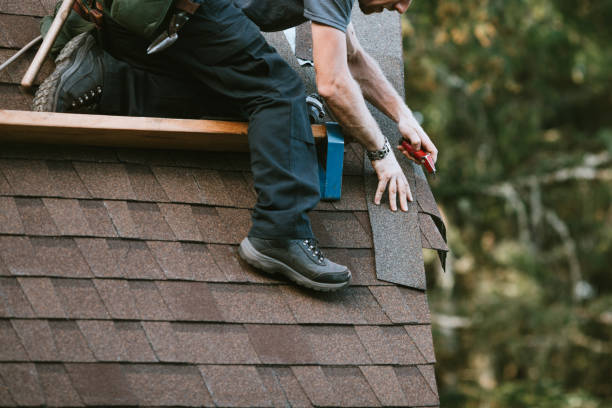 Roof Gutter Cleaning in Fort Thomas, KY